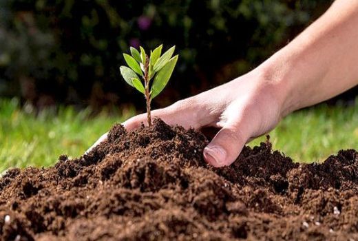 خادمان خاک تجلیل می‌شوند/ امضای تفاهم‌نامه میان وزارت جهاد کشاورزی و آموزش و پرورش برای فرهنگ‌سازی حفاظت از خاک
