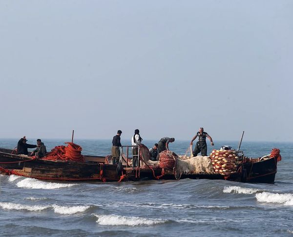 صدور مجوزهای صید و صیادی الکترونیکی می‌شود