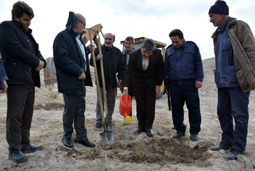 آغاز کاشت 12 هزار اصله نهال در مجتمع رفاهی شهید کسایی تبریز