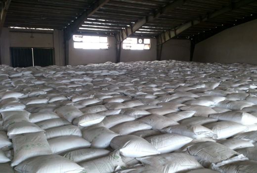 698 تن انواع کودهای یارانه‌ای در استان البرز تأمین و توزیع شد