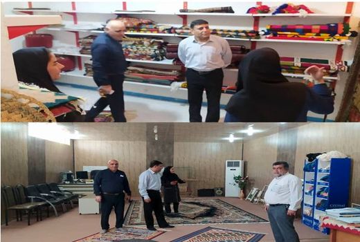 بازدید مدیرتعاون روستایی استان بوشهر از شرکت تعاونی زنان کوثر کنگان 