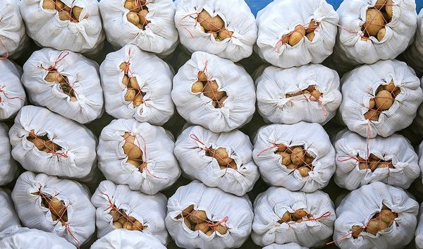 دولت از ظرفیت بورس کالا در ساماندهی بازار محصولات کشاورزی بهره ببرد