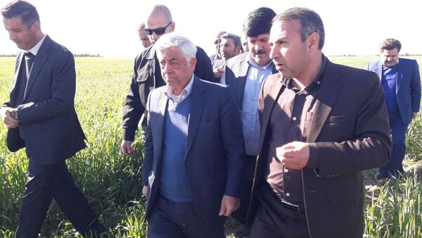 کشت محصولات پاییزه  در ۲۰۳ هزار هکتار اراضی ایلام 
