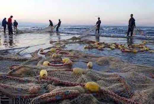 صید ماهیان استخوانی از آب‌های خزر آغاز شد