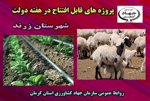 بهره برداری از چهار طرح کشاورزی  به مناسبت هفته دولت در شهرستان زرند 