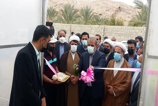 افتتاح  طرح های گلخانه ای در داراب