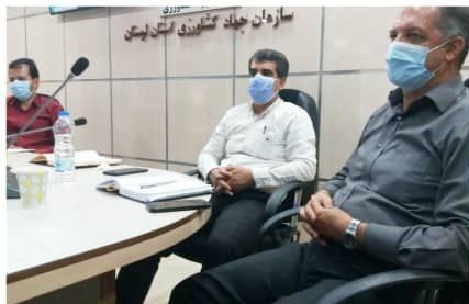 راه اندازی سامانه مالیار در امتداد در امتداد سامانه بازارگاه