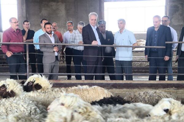بازدید معاون وزیر جهاد کشاورزی از شرکت مهرگستر سیمرغ گوشت زیاران با هدف بررسی ظرفیت تولید و رفع موانع