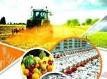 تحقق ۷۰ درصدی تعهد اشتغال جهاد کشاورزی البرز در ۴ ماه نخست سال