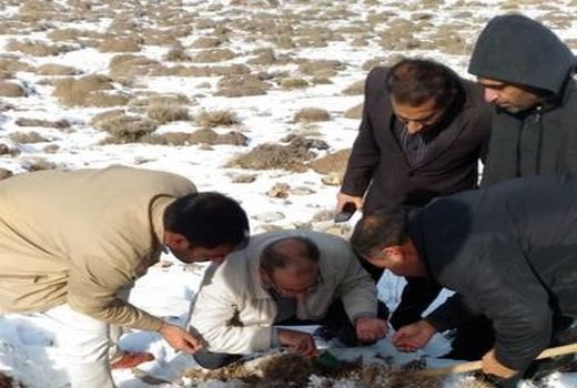 پایش اماکن زمستان گذران سن در مرودشت