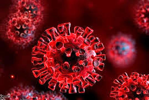 مساعدت ۱۴۰ میلیون ریالی از سوی کارمندان جهاد کشاورزی نهاوند به آسیب دیدگان کرونا