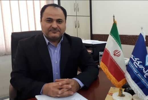 پوشش صددرصدی واکسیناسیون دام‌های عشایری علیه بروسلوز