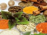 حمایت از واحدهای تولیدی فعال در زمینه گیاهان دارویی