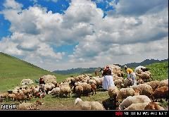 پرداخت تسهیلات به عشایر هرمزگان