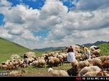 پرداخت تسهیلات به عشایر هرمزگان