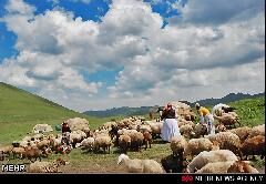 پرداخت تسهیلات به عشایر هرمزگان