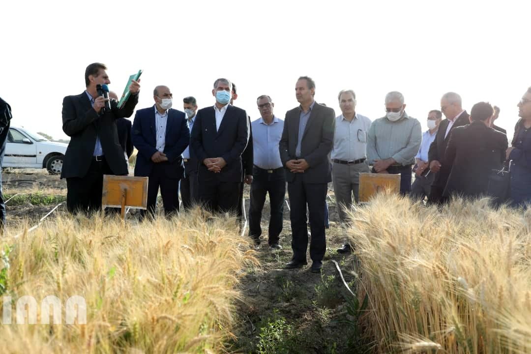 WhatsApp Image 2022-06-14 at 10.06.29 AM