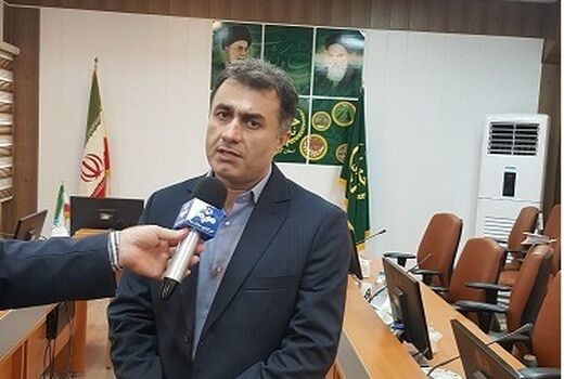 آغاز برداشت «پاچ باقالا» در گیلان