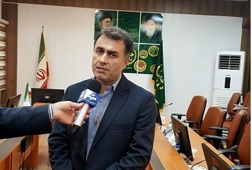 آغاز برداشت «پاچ باقالا» در گیلان