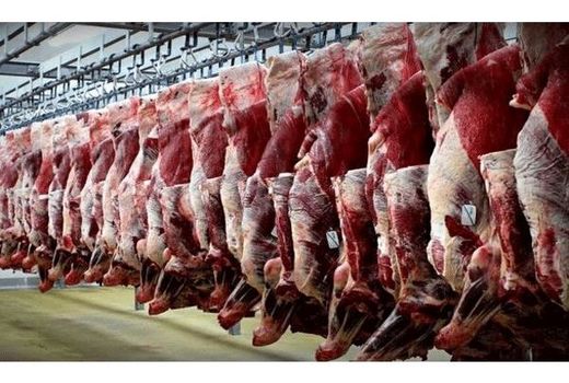 تولید سالانه 6500 تن گوشت قرمز در ساری