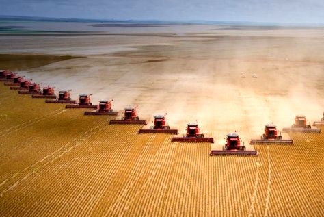 آبیاری محصولات زراعی خاصی مخازن آب‌های زیرزمینی را تهدید می‌کند/ تجارت بین‌المللی مواد غذایی منابع آب‌های زیرزمینی را تخلیه می‌کند