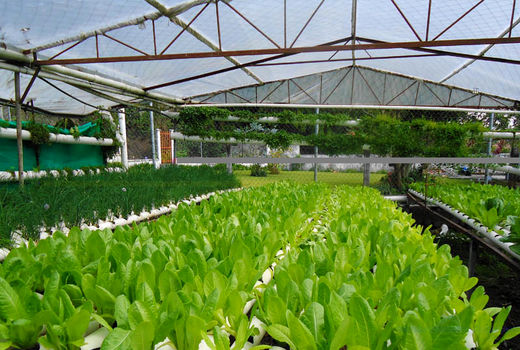 افتتاح 79 پروژه در 22 استان کشور 