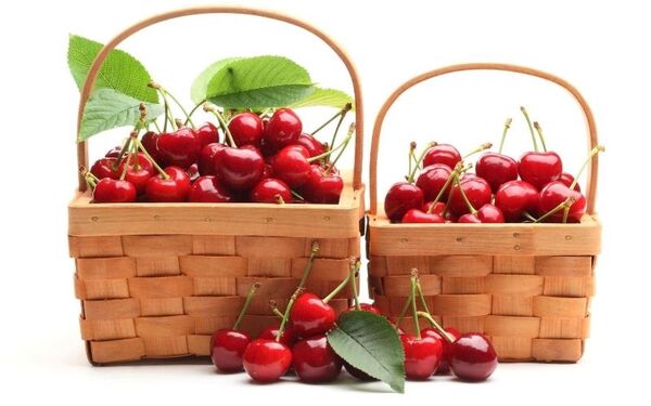 نخستین محموله سه تنی گیلاس خراسان شمالی به مسکو صادر می‌شود