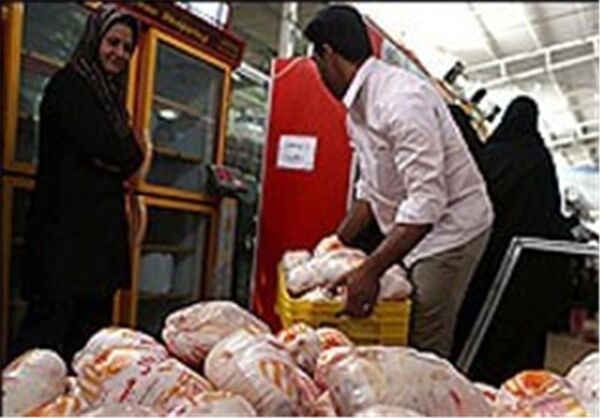 قیمت مرغ کاهش یافت
