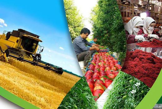 114پروژه کشاورزی سیستان وبلوچستان به بهره‌برداری می‌رسد