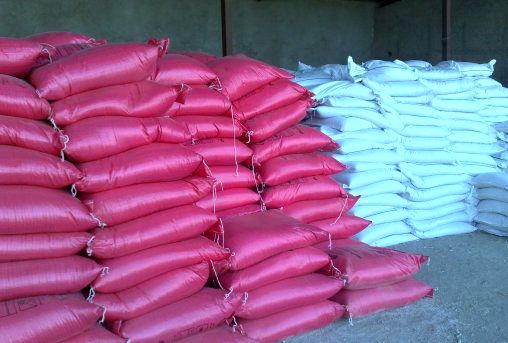 توزیع 23 هزار تن کود توسط شبکه تعاونی‌ها 