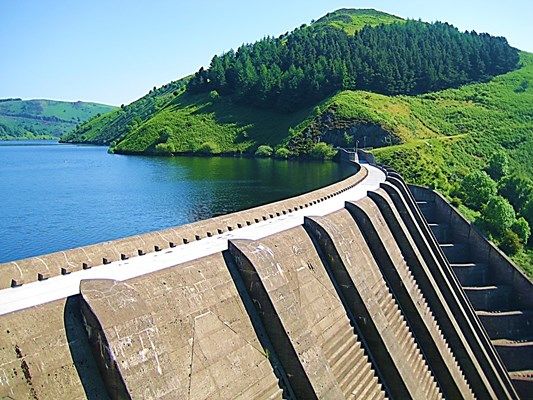 انقراض ماهیان و تخریب دلتاها، بخشی از پیامدهای ساخت سدهای بزرگ