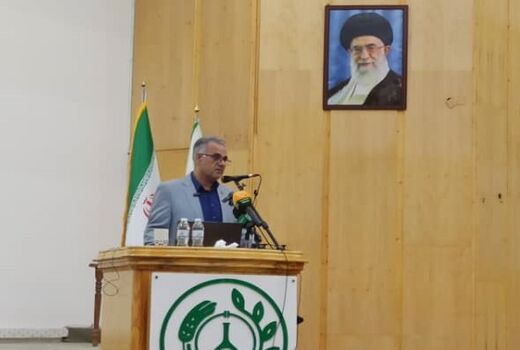 ارقام مقاوم گندم باعث صرفه‌جویی ۹۵۰ میلیون مترمکعب آب شد