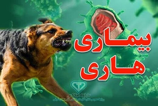 آذربایجان شرقی تنها مرکز ملی انجام آزمایش‌های تشخیص بیماری هاری در کشور