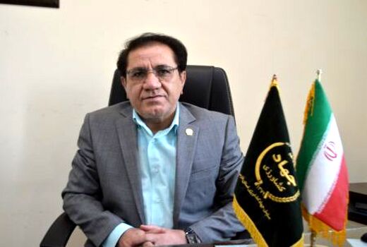 آغاز برداشت گندم از مزارع استان فارس