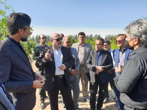 بازدید معاون وزیر از ایستگاه تحقیقات کشاورزی محمدیه