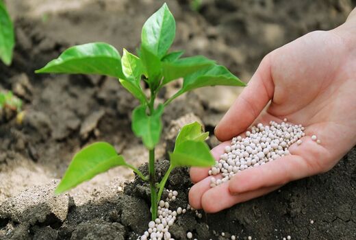 توزیع نزدیک به 82 هزار فقره حواله الکترونیکی کود شیمیایی در آذربایجان غربی 