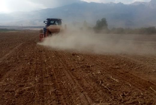 آغاز کشت محصولات شتوی در استهبان