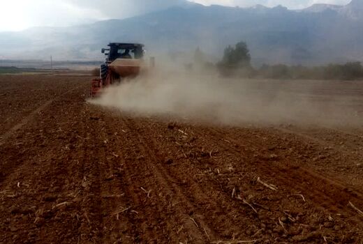 آغاز کشت محصولات شتوی در استهبان