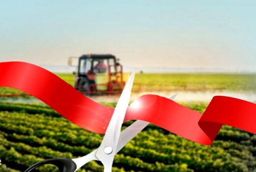 ۶ طرح تولیدی و عمرانی کشاورزی در نقده به بهره برداری می‌رسد 