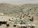تخصیص نهاده به دامداران عشایری فارس