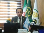 پروژه مدیریت تلفیقی آفات و بیماری‌های خرما در ۹ استان اجرا می‌شود/ فعالیت یک میلیون خانواده در زنجیره تولید و نگهداری خرما