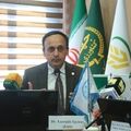 پروژه مدیریت تلفیقی آفات و بیماری‌های خرما در ۹ استان اجرا می‌شود/ فعالیت یک میلیون خانواده در زنجیره تولید و نگهداری خرما