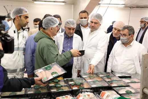 بازدید وزیر جهاد کشاورزی از گروه تولیدی ساوانا در مازندران 