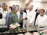 بازدید وزیر جهاد کشاورزی از گروه تولیدی ساوانا در مازندران 