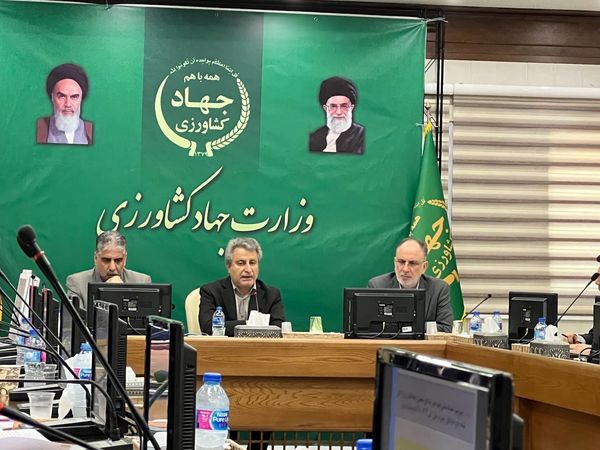 ابلاغ اجرای کشت قراردادی از امروز