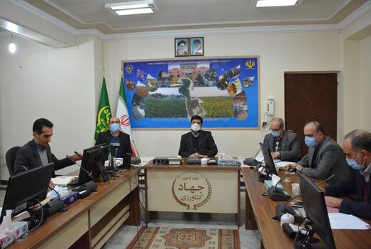 اساس موضوع تنظیم بازار تخم مرغ، برقراری نهاده در برابر محصول است