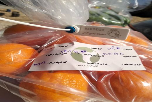 افزایش تولید محصولات سالم و گواهی شده کشاورزی در داراب  