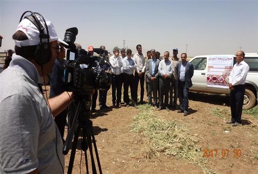 اجرای طرح نظام نوین ترویج کشاورزی در استان زنجان