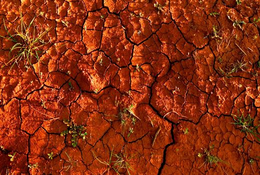 تاثیر سلامت خاک در مبارزه با گرسنگی جهانی