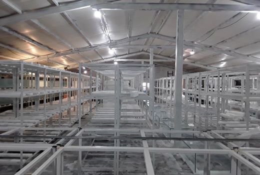 صدور مجوز بهره‌برداری از مزرعه ماهیان زینتی در فارس